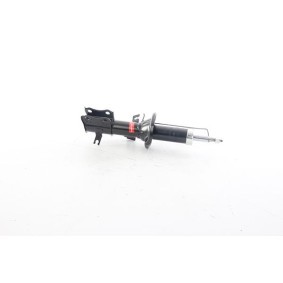 Compre Amortecedor da BSG BSG 44-300-016 a um preço baixo por 77,07 €