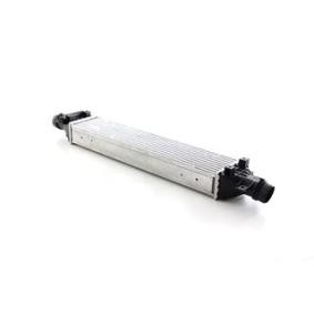 Kjøp Intercooler av BSG BSG 65-535-022 til den lave prisen 2389,80 NOK