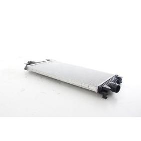 Kjøp Intercooler av BSG BSG 65-535-025 til den lave prisen 4397,13 NOK