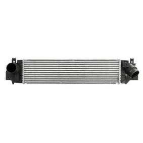 Köp Intercooler av THERMOTEC DAB028TT till det låga priset 1613,40 kr