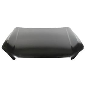 Motorhaube 6803-00-9061280AP