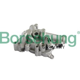Achetez des Pompe à huile Borsehung B11899 à prix pour 220,93 €