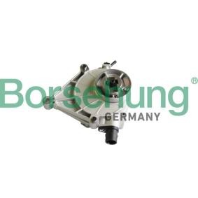 Unterdruckpumpe, Bremsanlage von Borsehung günstig für 125,84 €
