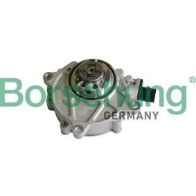 Unterdruckpumpe, Bremsanlage von Borsehung günstig für 154,94 €