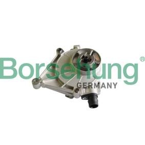 Unterdruckpumpe, Bremsanlage von Borsehung günstig für 124,35 €