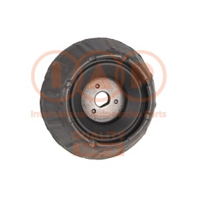 Acquista Supporto ammortizzatore da IAP QUALITY PARTS 505-07043 a buon mercato per soli 52,59 €