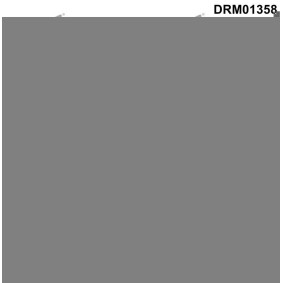 Compre Parafuso de fecho, cárter do óleo da DR.MOTOR AUTOMOTIVE DRM01358 a um preço baixo por 3,49 €