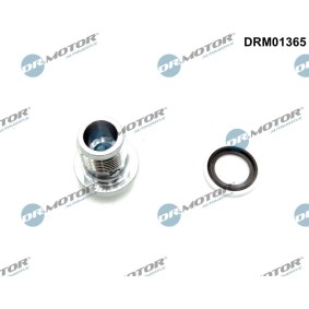 Verschlußschraube, Ölwanne DRM01365