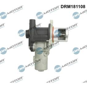 AGR-Ventil DRM181108 für DACIA