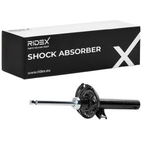 Stoßdämpfer von RIDEX