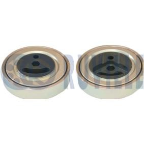 Compre Tensor da correia do alternador de RUVILLE online para JIMNY Veículo todo terreno aberto (SN) a preços moderados