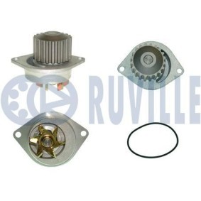 Wasserpumpe für ROVER von RUVILLE