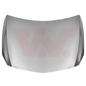 Motorhaube 3019670