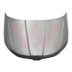 Motorhaube 7643660