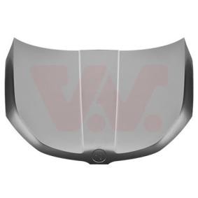 Motorhaube 7644660