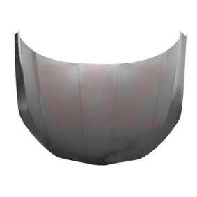 Motorhaube 7647660