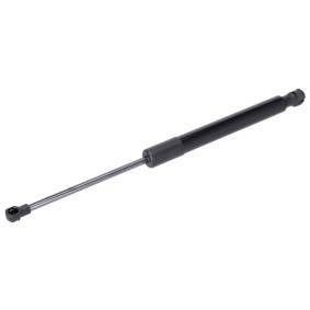 Achetez des Vérin de coffre FEBI BILSTEIN 180704 à prix pour 27,26 €