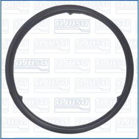 Dichtring, Lader 01573500