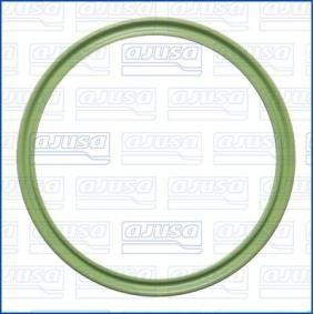 Dichtring, Lader 01729100