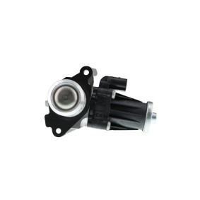 Comprar Válvula EGR de AISIN EGRAZ-7013 a bajo precio de 123,61 €
