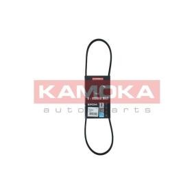 Achetez des Courroie Poly-V KAMOKA 7013013 à prix pour 5,50 €