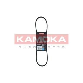 Acquista Cinghia servizi da KAMOKA online per NT400 CABSTAR (F24F) a prezzi moderati