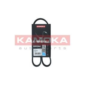 Acquista Cinghia servizi da KAMOKA 7015013 a buon mercato per soli 7,01 €