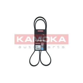 Acquista Cinghia servizi da KAMOKA online per DUCATO Pianale piatto/Telaio (280) a prezzi moderati