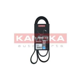 Acquista Cinghia servizi da KAMOKA 7015070 a buon mercato per soli 12,50 €