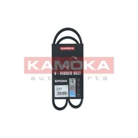 Achetez des Courroie d'alternateur de chez KAMOKA en ligne pour Express Van / Break à prix modérés