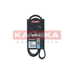 Keilrippenriemen 7016052