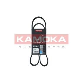 Keilrippenriemen 7016065