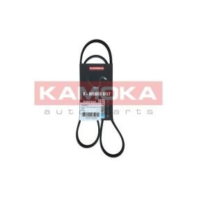 Compre Correia do alternador de KAMOKA online para California T6 Minibus (SGC, SGG, SHC) a preços moderados