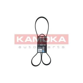 Compre Correia trapezoidal estriada da KAMOKA 7016124 a um preço baixo por 14,91 €