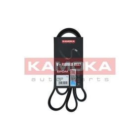 Keilrippenriemen 7016150 von KAMOKA günstig für 16,75 € online kaufen