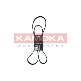 Acquista Cinghia servizi da KAMOKA 7016167 a buon mercato per soli 17,36 €