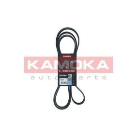 Acquista Cinghia servizi da KAMOKA online per CHAIRMAN (HT_) a prezzi moderati