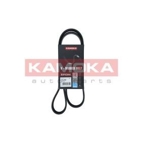 Acquista Cinghia servizi da KAMOKA online per Qashqai / Qashqai+2 I Van (J10, JJ10E) a prezzi moderati