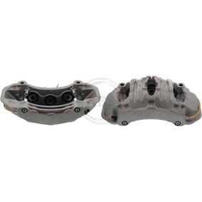 Bremssattel 423772