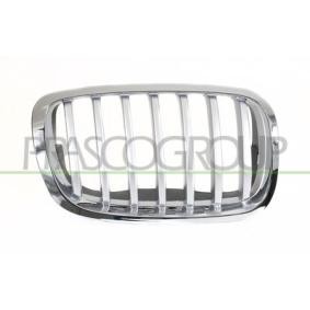 Kühlergrill BM8402033