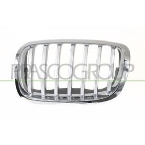 Kühlergrill BM8402034