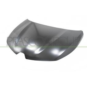 Motorhaube RN3323100