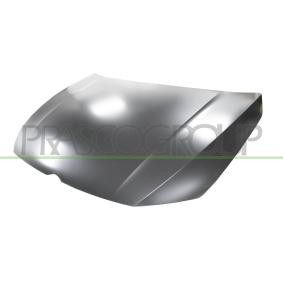 Motorhaube VG4103100