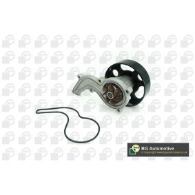 Wasserpumpe CP2506