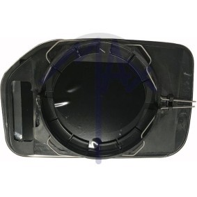 Acquista Vetro specchio, specchio esterno da MAX MPG132-L a buon mercato per soli 55,22 €