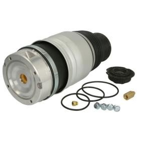 Køb Luftfjeder af Magnum Technology MZA014MT til den lave pris 4029,41 DKK