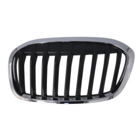 Kühlergrill 6502-07-0071993P