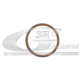 Ölablaßschraube Dichtung von 3RG 81061