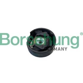 Köp Upphängning, axelstomme av Borsehung B10032 till det låga priset 216,20 kr