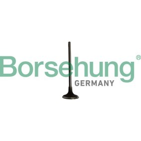 Einlaßventil B10334